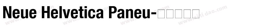 Neue Helvetica Paneu字体转换